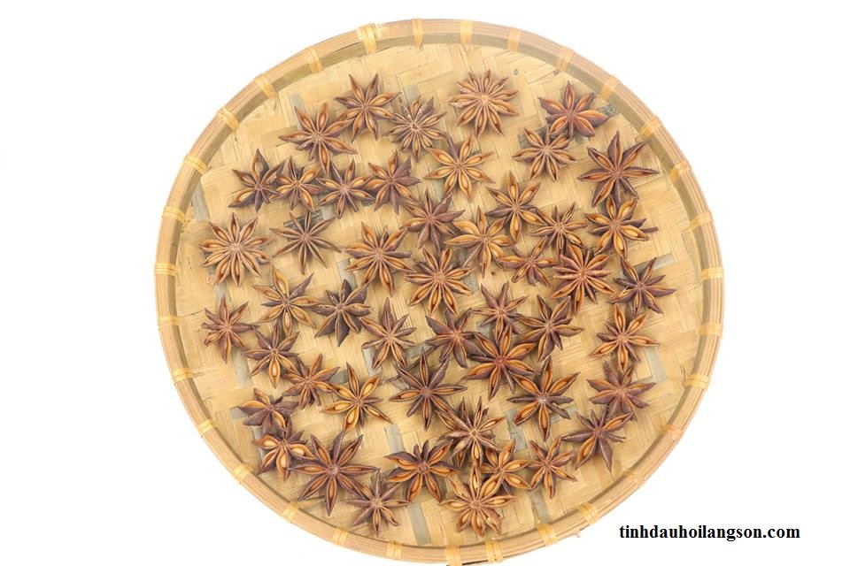 nguoi-dan-da-coi-hoa-hoi-la-1-phan-cuoc-song